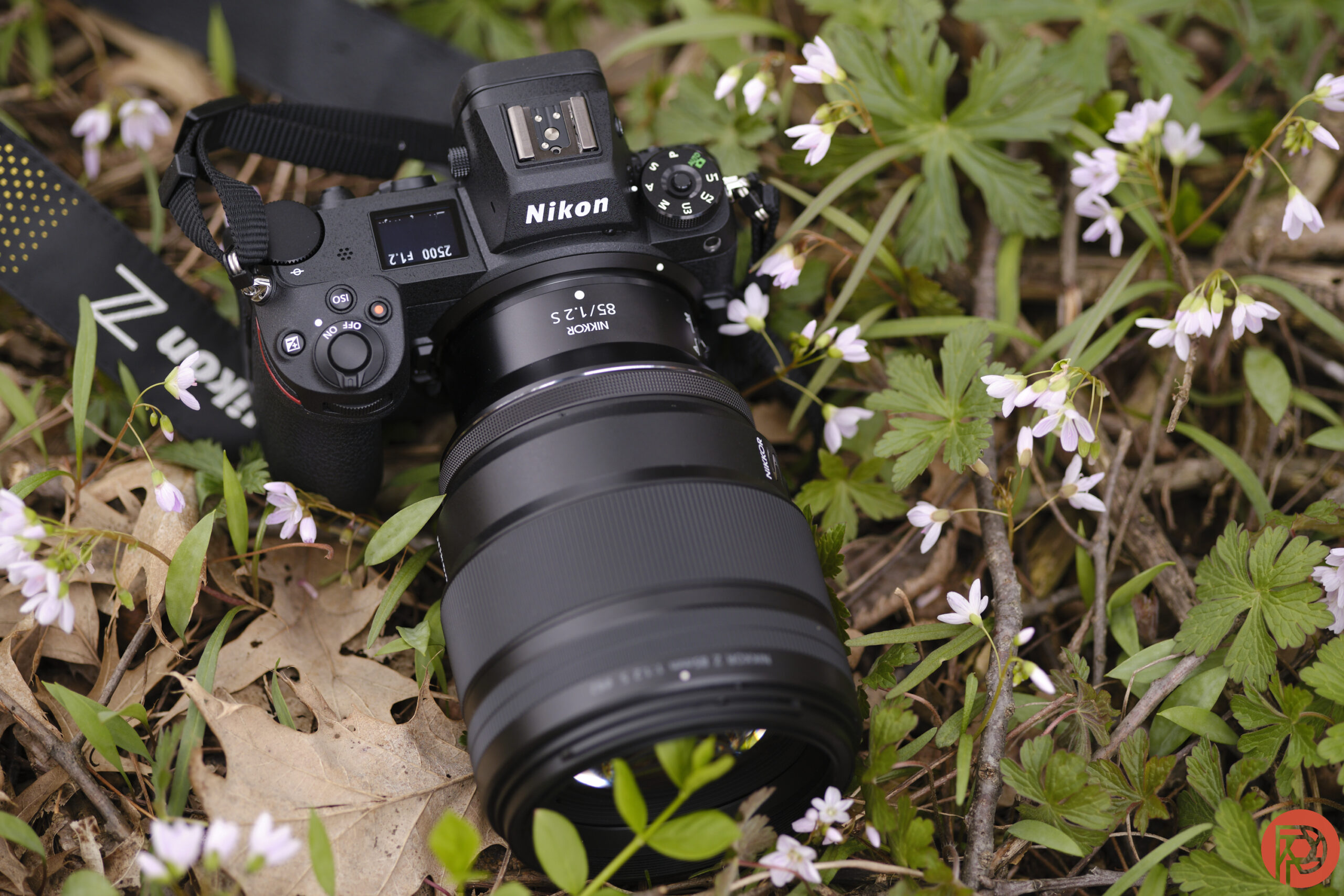 Our Favorite Portrait Lens from Nikon That You Must Get Hillary Grigonis The Phoblographer Nikon Z 85mm f1.2 S review DSCF9852
