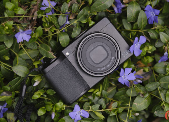 A black digital camera resting on green leaves and purple flowers.