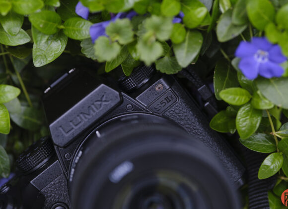 Amidst a tapestry of green leaves and blue flowers, the sleek Panasonic S5 IIx camera stands out, proudly displaying LUMIX S5IIX on its body.