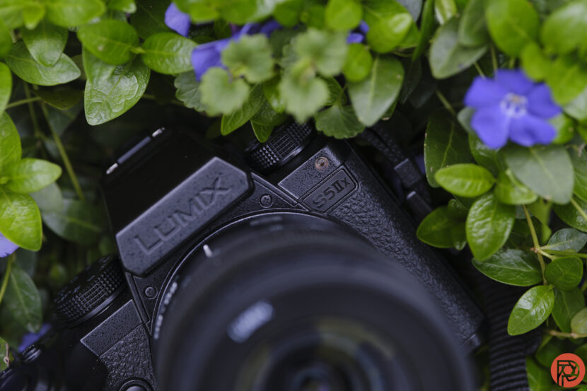 Amidst a tapestry of green leaves and blue flowers, the sleek Panasonic S5 IIx camera stands out, proudly displaying LUMIX S5IIX on its body.