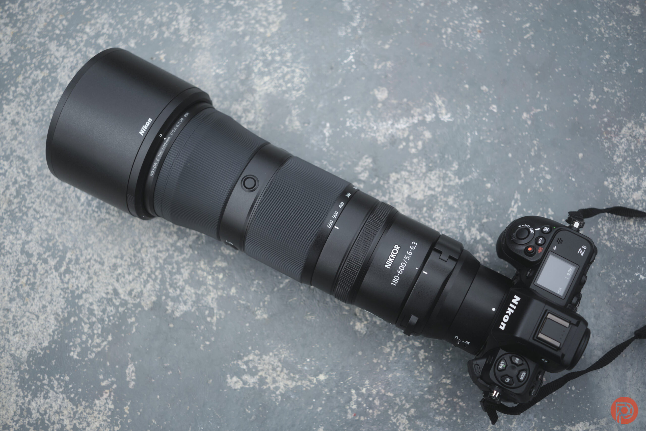 Our Favorite Nikon Lens for Bird Photography Chris Gampat The Phoblographer Nikon 180-600mm f5-6.3 VC first impressions sample product images 2.81-1400s400 1