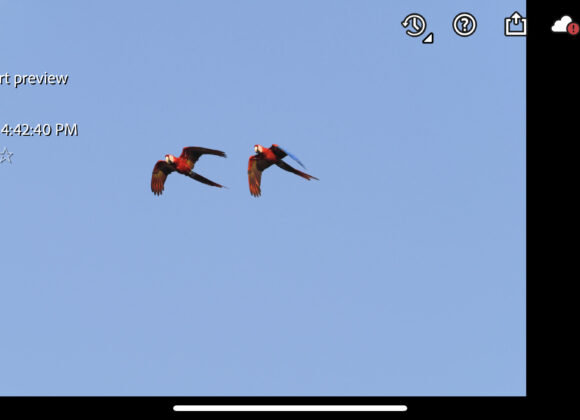 Hillary Grigonis The Phoblographer Lightroom CC Review update lightroom mobile screenshot