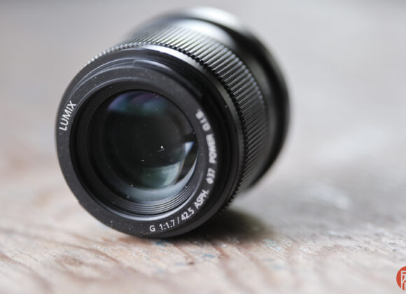 Hillary Grigonis The Phoblographer Panasonic 42.5mm f1.7 review DSCF9695