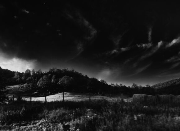 Tammy Ruggles Lay of the Land