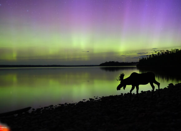 Hillary Grigonis The Phoblographer Adobe Photoshop AI tehics 001