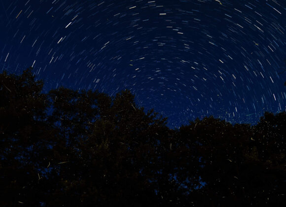 Hillary Grigonis The Phoblographer How to photograph lightning bugs 001
