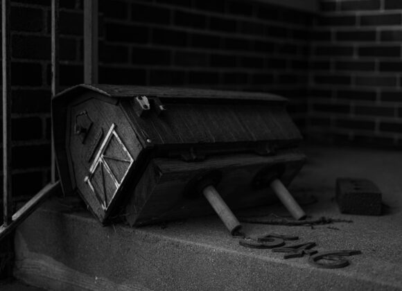 phoblographer_daily_picture_000