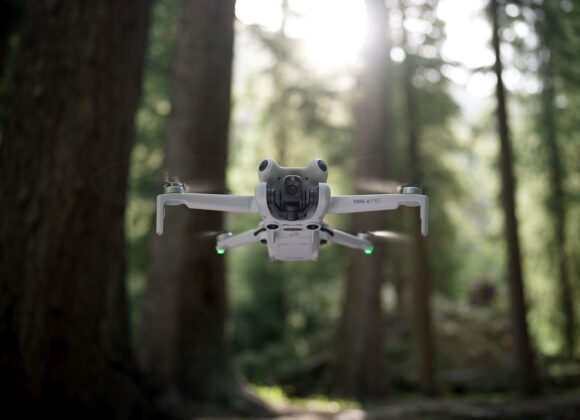 The Phoblographer DJI Mini 4 Pro Jungle - flight posture