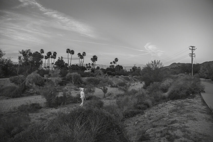 ©Photographer-Florence-Montmare-America-Series-202320