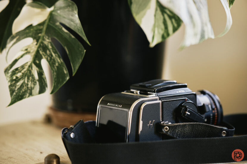 The Best DSLR of 2024: Hasselblad 501C and CFV 100C Chris Gampat The Phoblographer Hasselblad 500C with the CFV 100C review product images 2.81-125s400 1