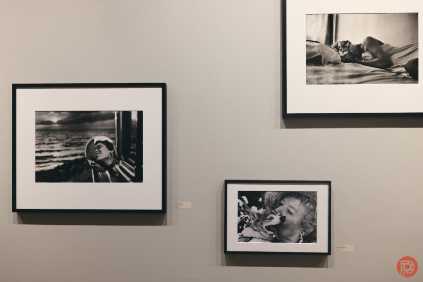 Chris Gampat The Phoblographer Leica Flagship Store Elliot Erwitt Gallery 2.81-100s400