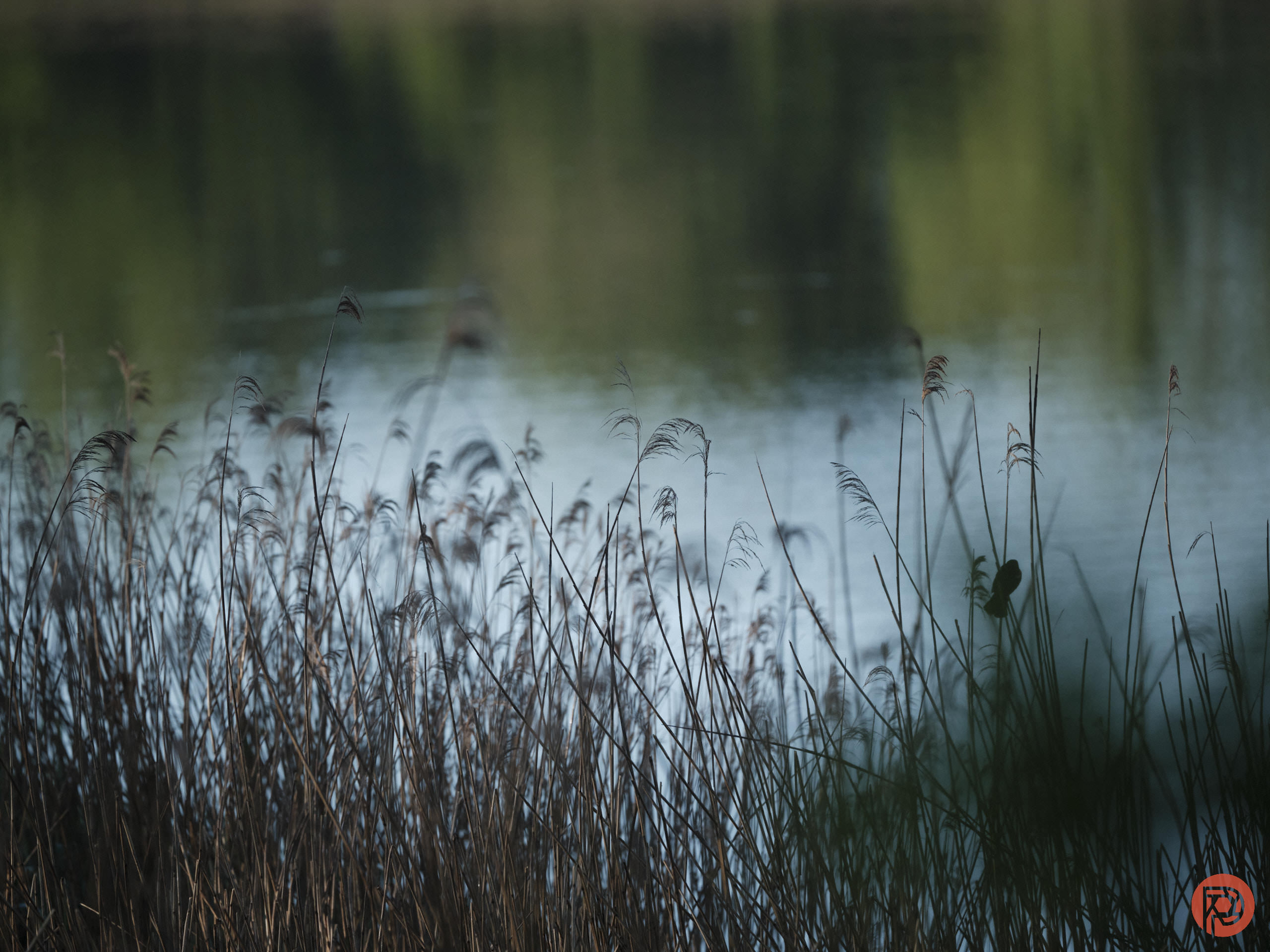 Environmental photography grant