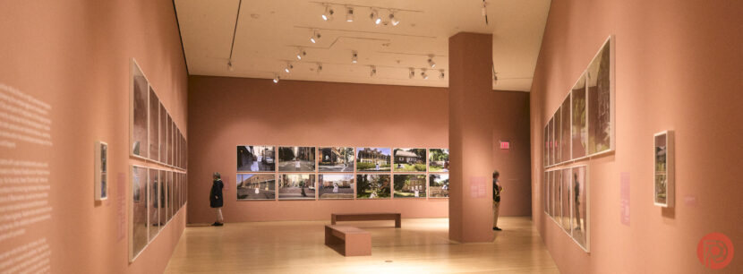 Chris Gampat The Phoblographer Nona Faustine at the Brooklyn Museum 2.21-250s6400 3