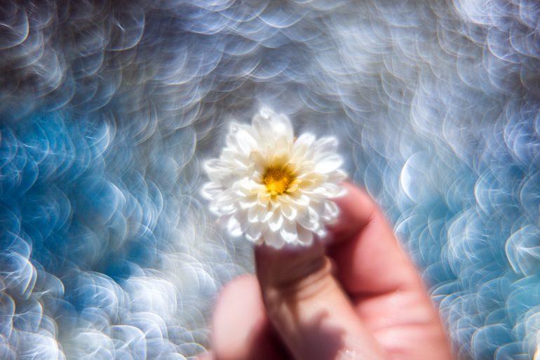 Person holding a white daisy against a dreamy, bokeh-filled blue background, captured using DIY cameras for that unique, personal touch.