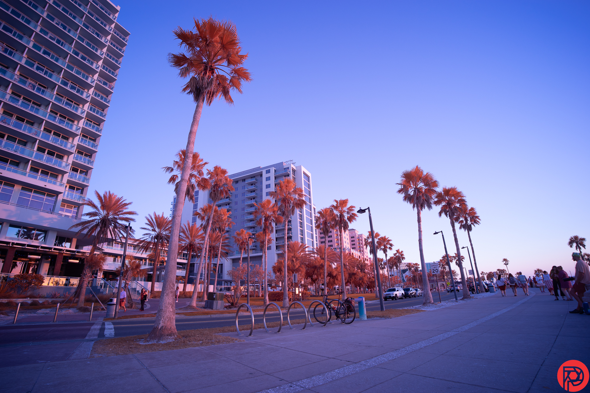 Street scene with tall buildings and palm trees under a pinkish sky. People are walking along the sidewalk.