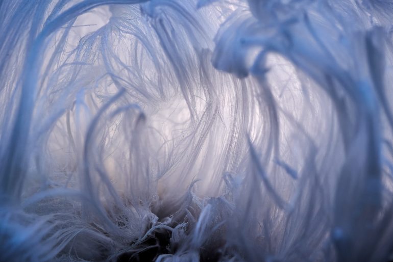 Close-up of delicate, frost-covered strands forming intricate, wispy patterns with a bluish hue.