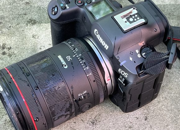 The Canon RF50mm F1.4 L VCM can handle a little weather, so don't be afraid to put it to work.