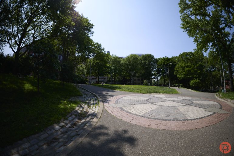 Curved path with a circular brick pattern in a sunny, tree-lined park.