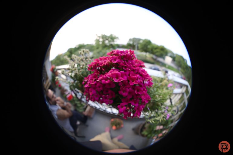Fisheye view of vibrant pink flowers on a balcony, with blurred people and greenery in the background.