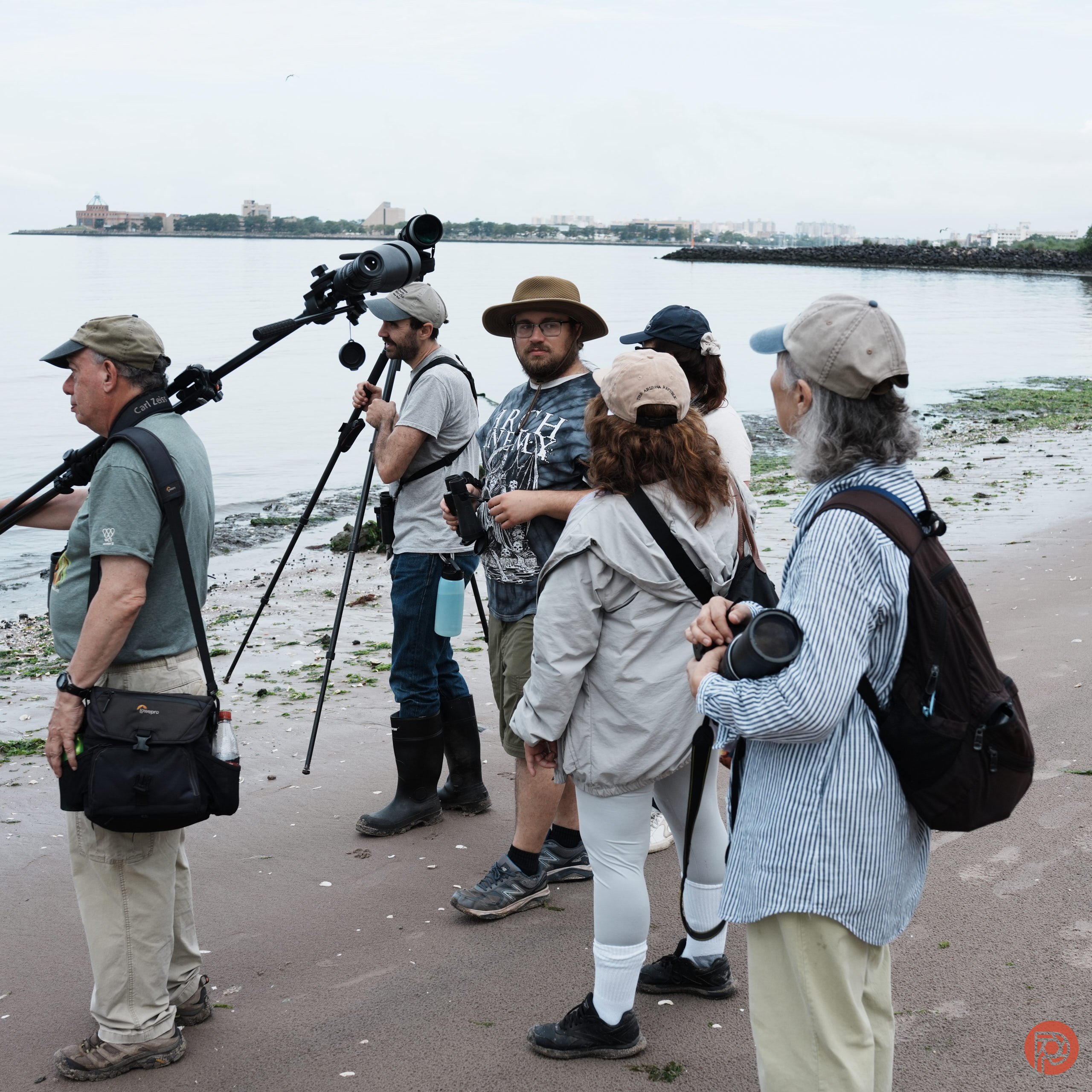 A group of people with cameras and binoculars birdwatching on a sandy beach near the water.