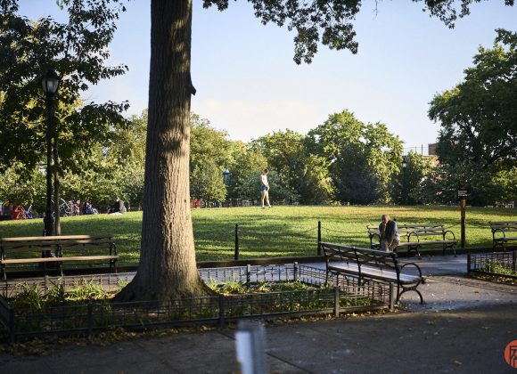 A person walks on a sunny park lawn; another sits on a bench in the shade of a large tree.
