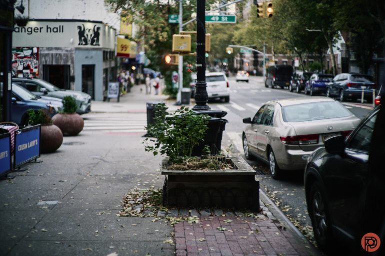 A city sidewalk with cars parked, trees, and buildings lining the street, near an intersection.