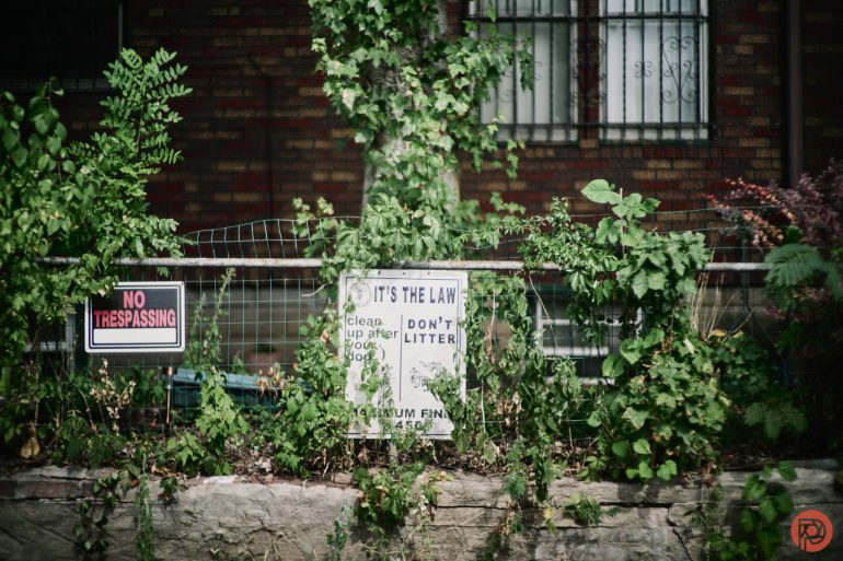 Overgrown plants cover a fence with No Trespassing and Dont Litter signs in front of a brick wall.