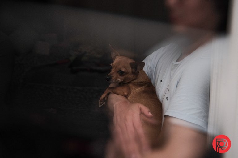 Person in a white shirt holding a small brown dog indoors, partially obscured by a reflection.