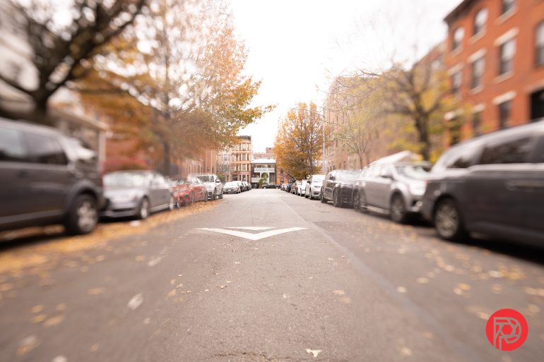 A tree-lined city street with parked cars on both sides and a white arrow painted on the road.