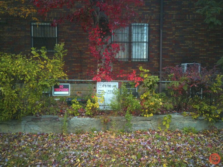 A garden with fall leaves, No Trespassing and litter warning signs, in front of a brick building.