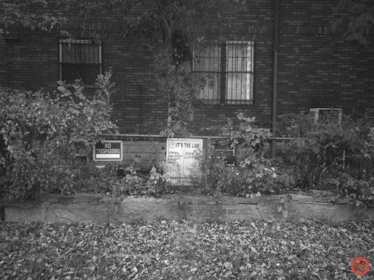 A brick building with signs reading No Trespassing and Its the Law behind bushes and fallen leaves.