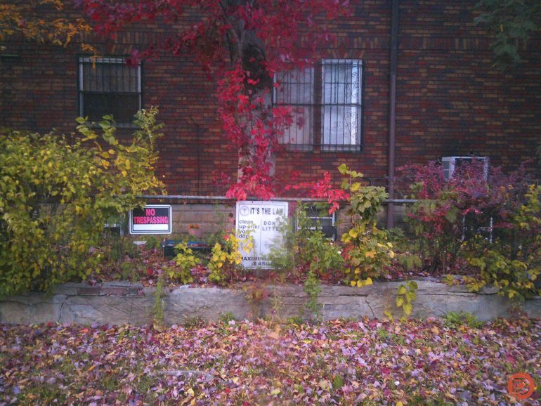 Two signs on a fence in front of a brick house, surrounded by plants and fallen autumn leaves.