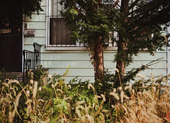 Overgrown grass and weeds in front of a house with pale green siding and barred windows.