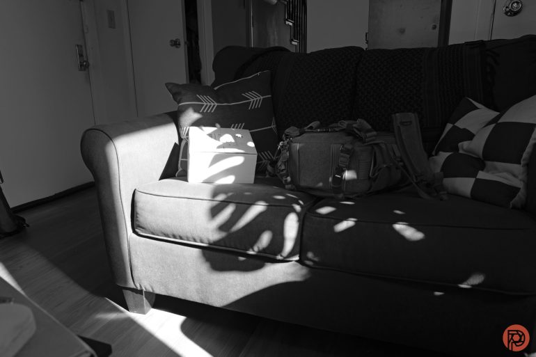 A sunlit couch with pillows, a bag, and a laptop, partially covered by plant shadows.