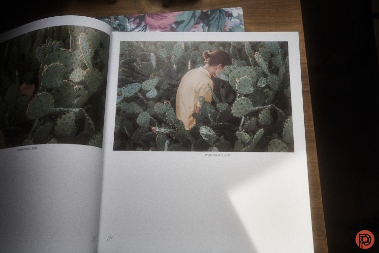 Open book showing a photo of a person standing among green cactus plants, with another floral page above.