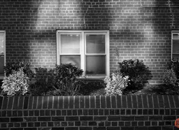 Black-and-white photo of two windows in a brick wall, with bushes and a low brick wall in front.