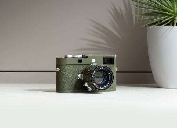 A green camera on a light surface next to a white pot with a spiky green plant.