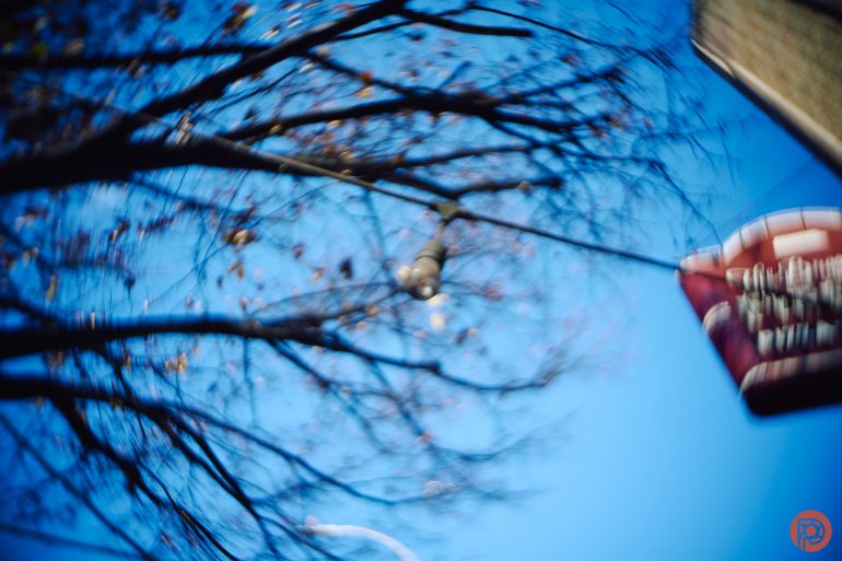 Blurry tree branches against a bright blue sky with part of a red sign visible on the right side.