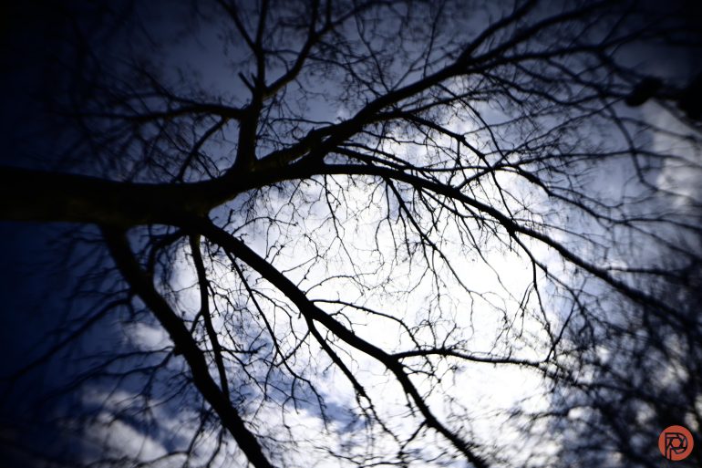 Silhouetted bare tree branches against a bright, cloudy sky with a blurred, vignette effect.
