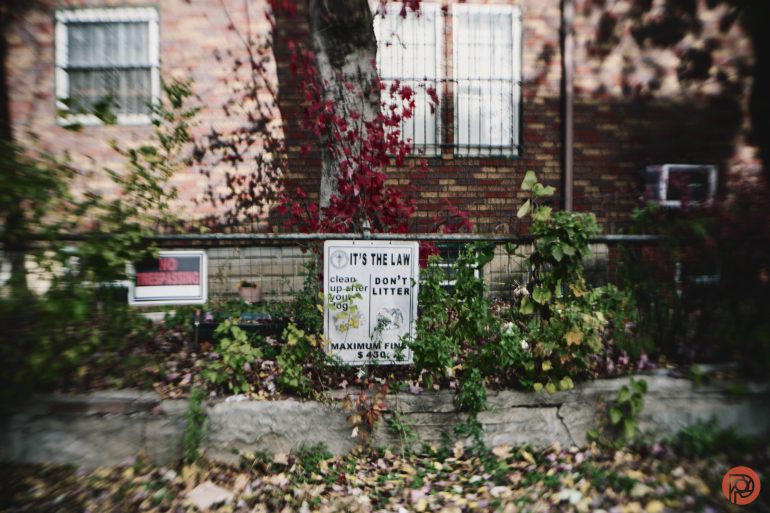 A yard with a Dont Litter sign and greenery, in front of a brick building with barred windows.