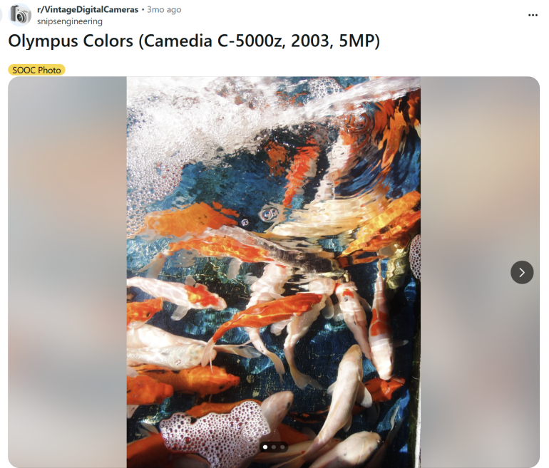 Colorful koi fish swim beneath rippling water, creating a vibrant, dynamic scene under sunlight.