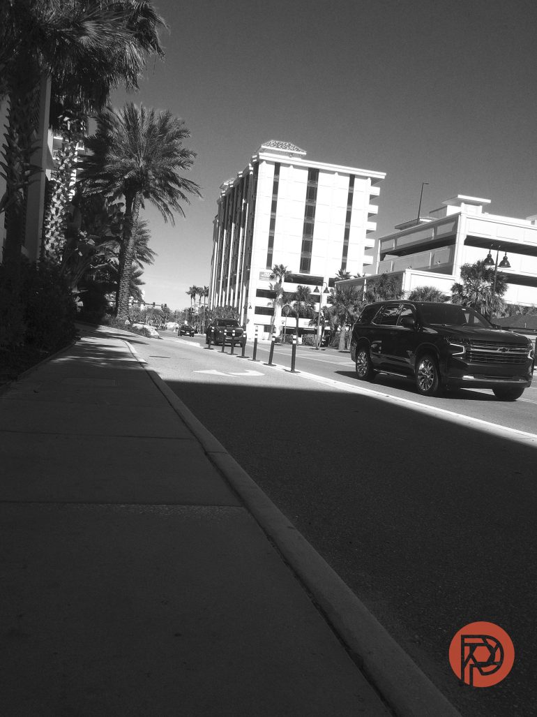 Black and white photo of cars on a palm tree-lined city street with tall buildings and a sidewalk.