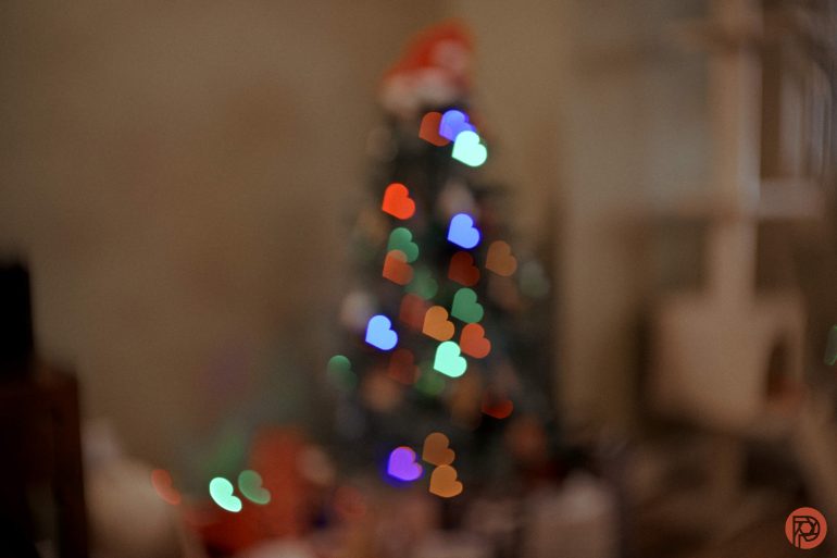 Out-of-focus Christmas tree with colorful heart-shaped lights and blurred background.