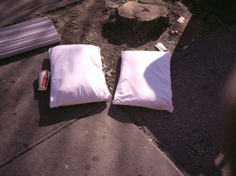 Two white pillows and a paper cup lie on a sidewalk near a tree stump in the sunlight.