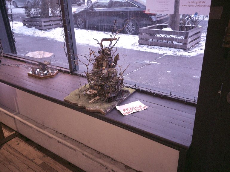 A small tree on a window sill.