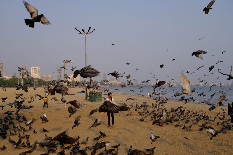 A person standing on a beach with birds flying.