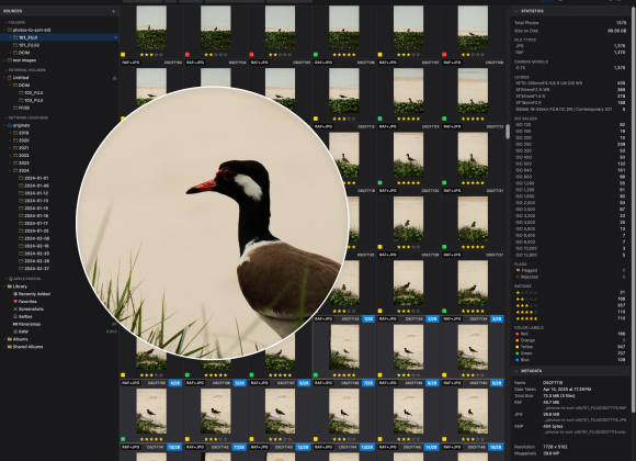 A magnified view of a bird in grass, shown on a photo management software with image thumbnails.