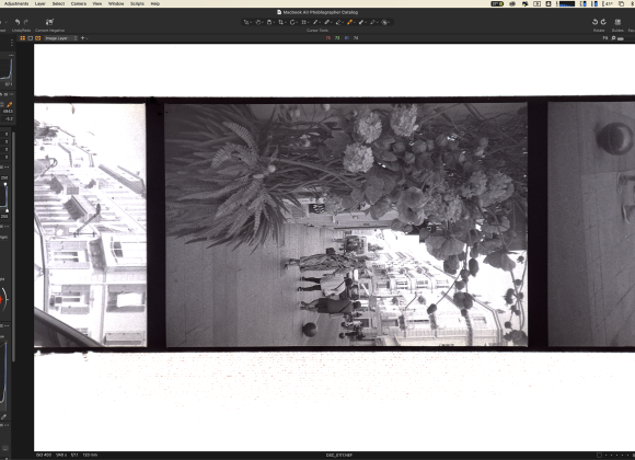 A film scan editing software shows a black-and-white negative of people walking by flowers in a city.
