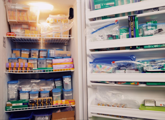 A freezer filled with various film rolls, plastic containers, and labeled boxes on shelves and door compartments.