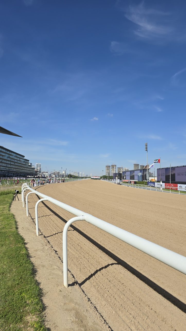 A sandy horse racetrack with white railings under a clear blue sky, buildings visible in the background.